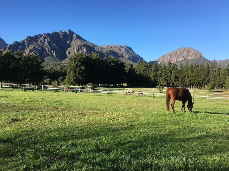 12 Bedroom Property for Sale in Paarl Western Cape